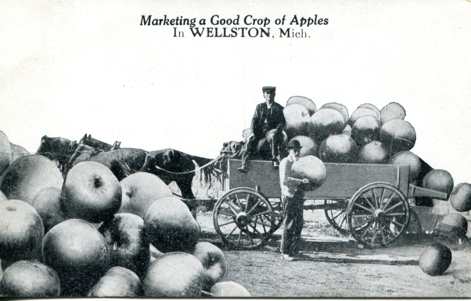 "Marketing a Good Crop of Apples" postcard, Wellston, Michigan, 1914