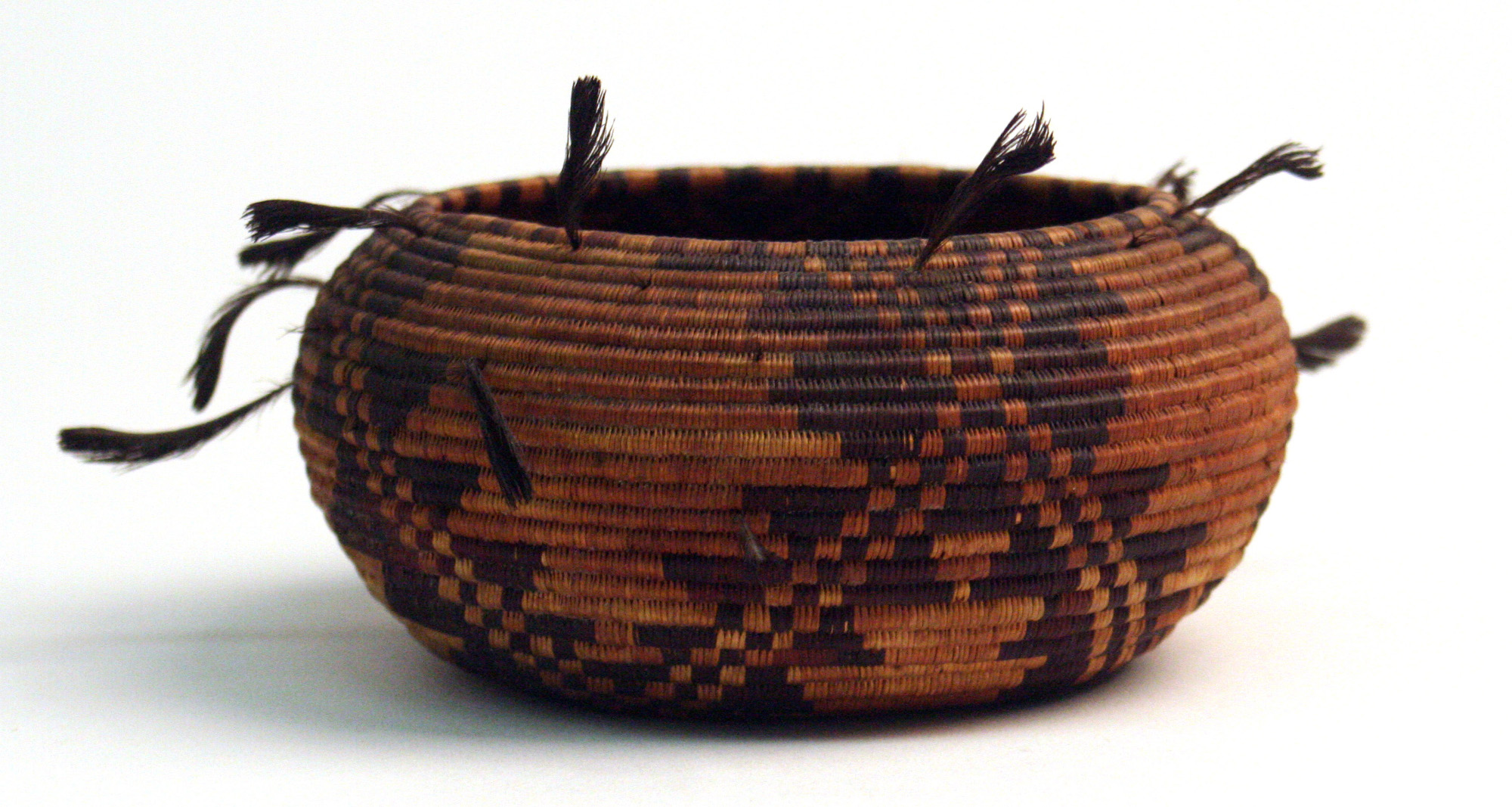 Coiled bowl with quail feathers, Pomo Kulanapan, California, 1898-1908